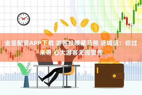 金呈配资APP下载 游客投喂藏马熊 还喊话：你过来呀 心大游客无视警告