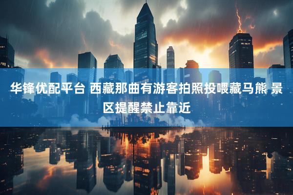 华锋优配平台 西藏那曲有游客拍照投喂藏马熊 景区提醒禁止靠近
